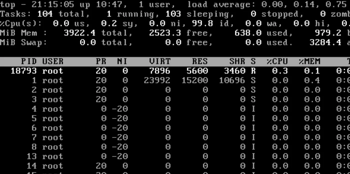1337 Hosting control panel: out-of-band browser console running top on a live server
