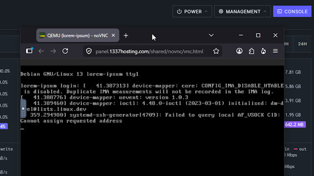 1337 Hosting control panel — browser console access